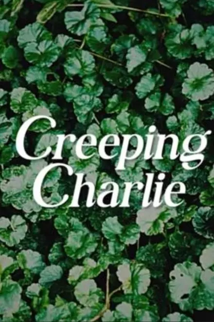 Creeping Charlie